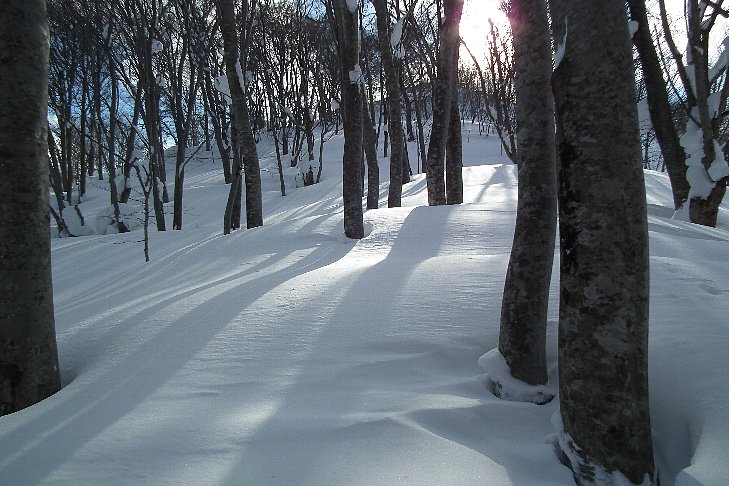 f0118332_2235748.jpg