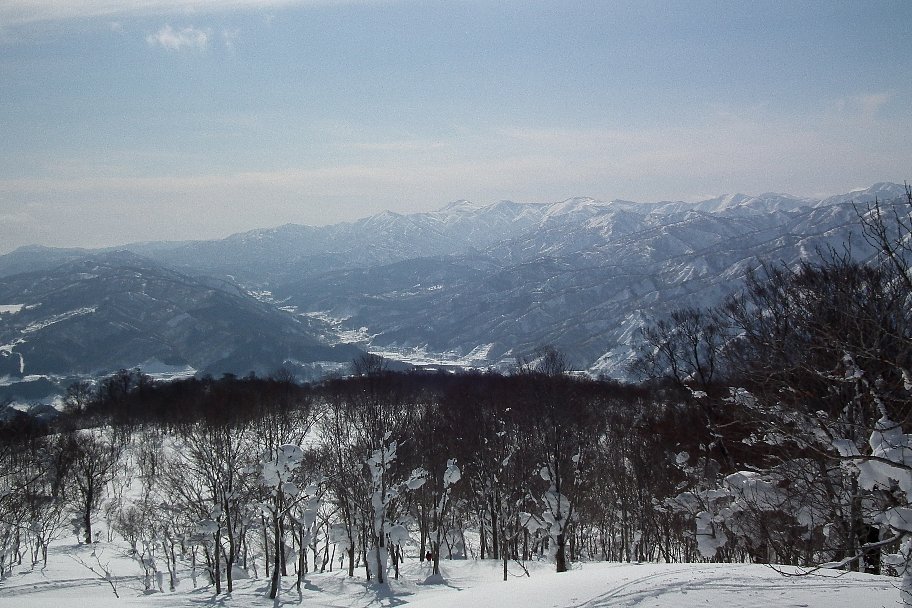 f0118332_2241050.jpg
