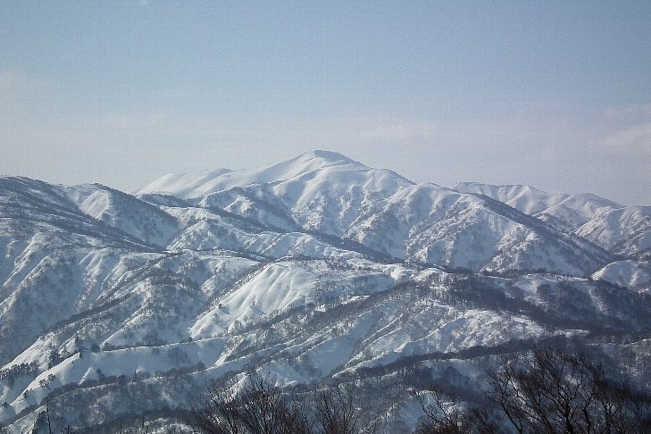 f0118332_2242206.jpg
