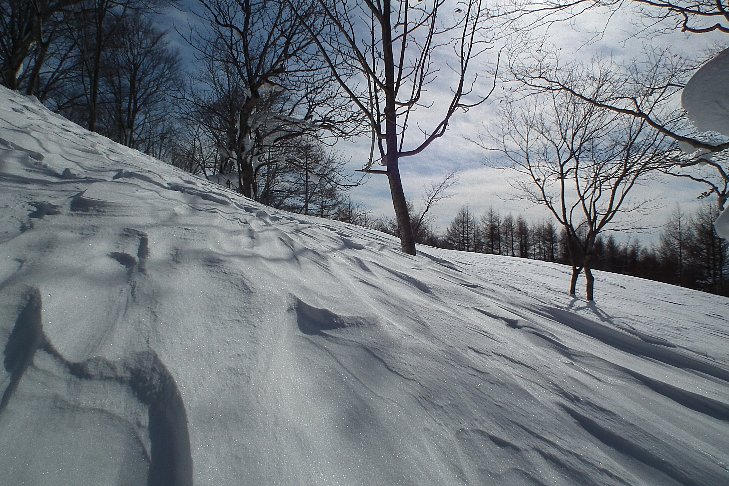f0118332_22431290.jpg