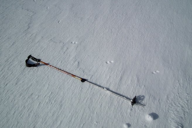 f0118332_22492761.jpg