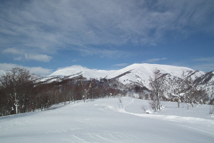 f0118332_22514064.jpg