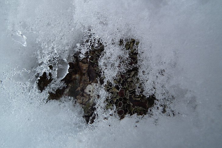 f0118332_2256564.jpg
