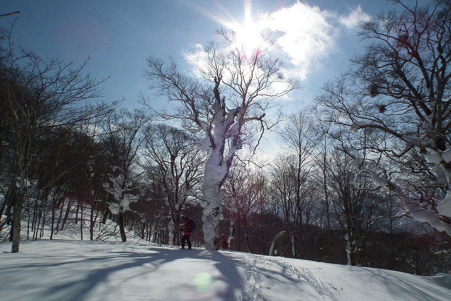 f0118332_22572455.jpg