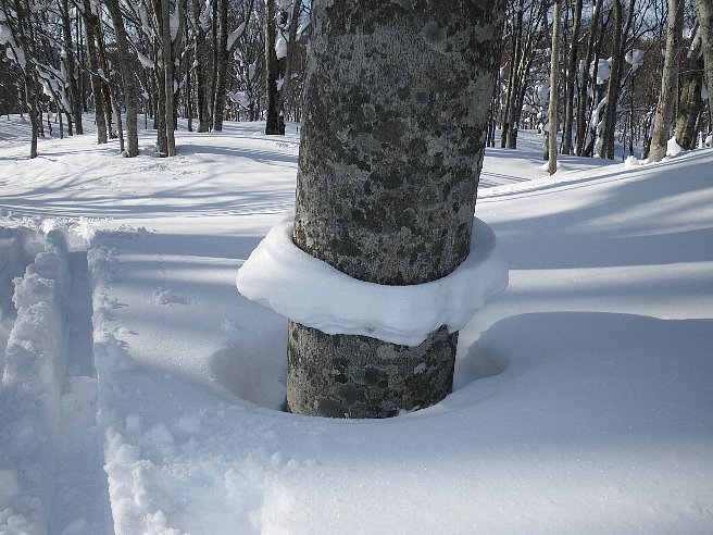 f0118332_2331433.jpg