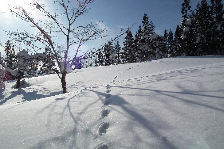 f0118332_233366.jpg