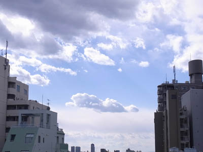 b0019140_15373477.jpg