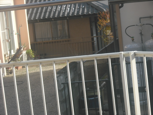 c0194042_2283514.jpg