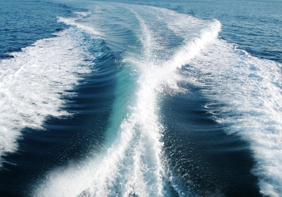 f0161647_215225.jpg