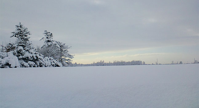 f0221648_10571245.jpg