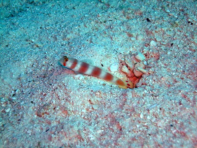 f0176156_1442342.jpg