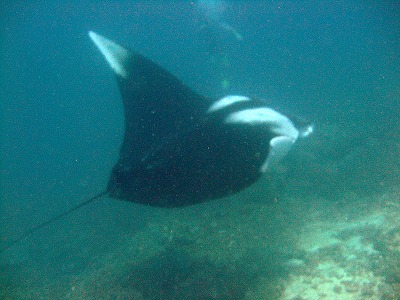 f0176156_14482250.jpg
