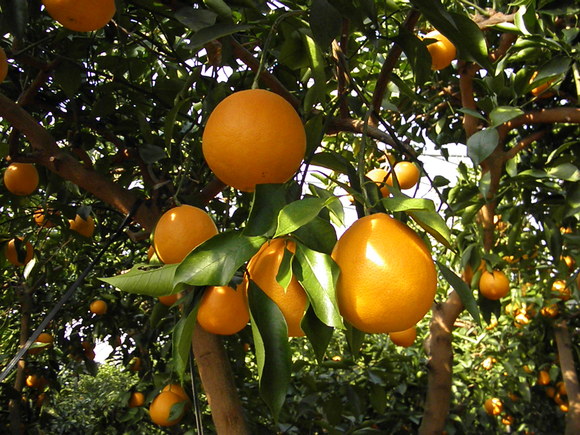 f0201157_13205592.jpg