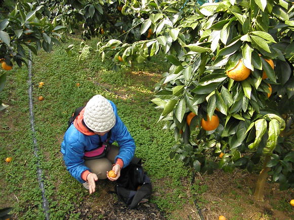 f0201157_13212843.jpg