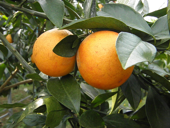 f0201157_13243685.jpg