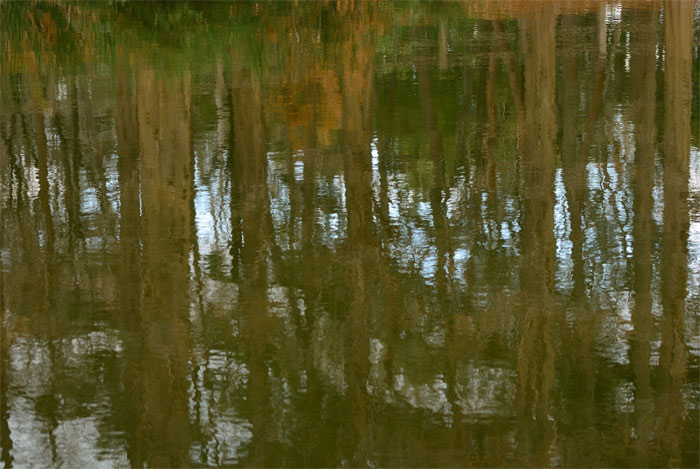 f0108478_1637493.jpg