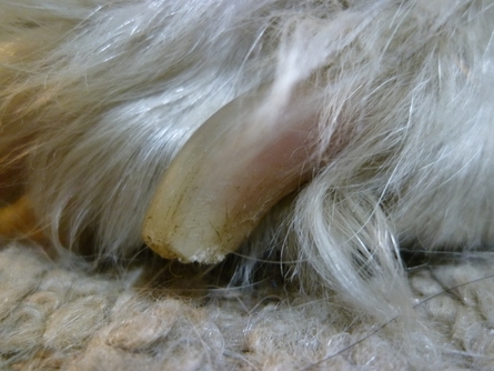e0176580_20311846.jpg