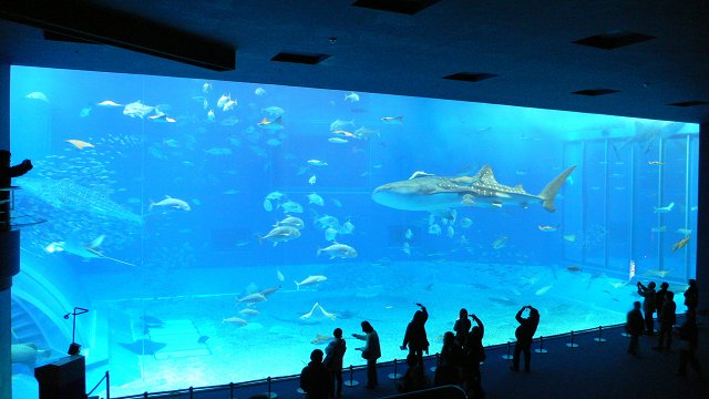 b0042882_22383769.jpg
