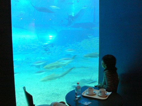 b0042882_2242536.jpg