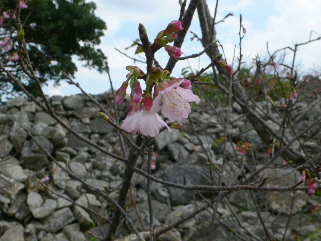 b0042882_22484323.jpg
