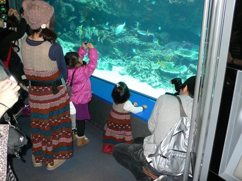 b0042882_23452150.jpg