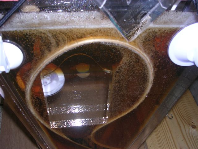 d0164783_23272049.jpg