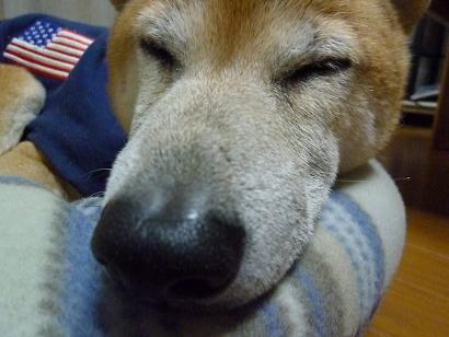 c0123890_2032835.jpg