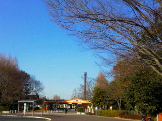 e0017290_910373.jpg