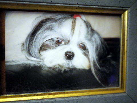 c0090198_455559.jpg