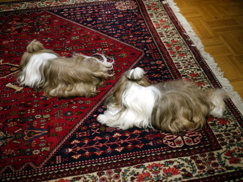 c0090198_5151347.jpg