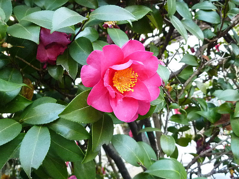 c0138198_672138.jpg