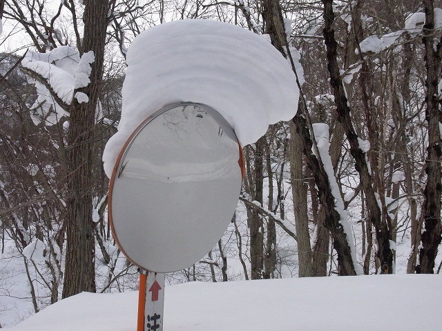f0157901_14551465.jpg