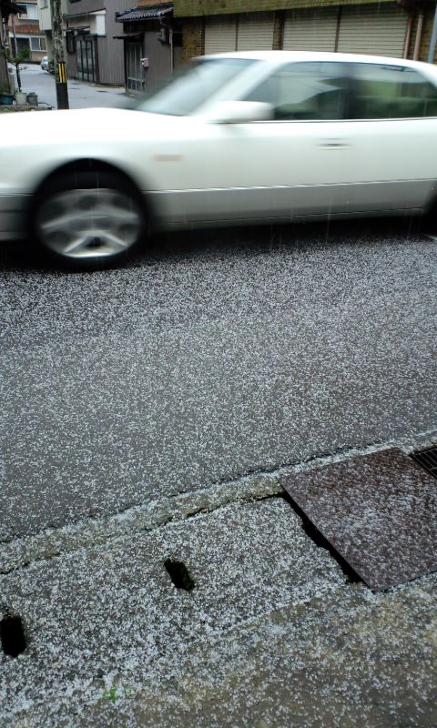 d0093903_2256592.jpg