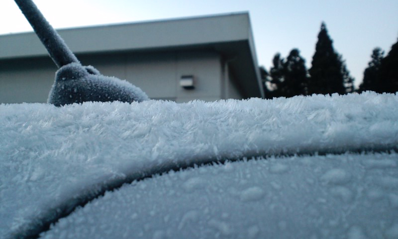 d0093903_22575959.jpg