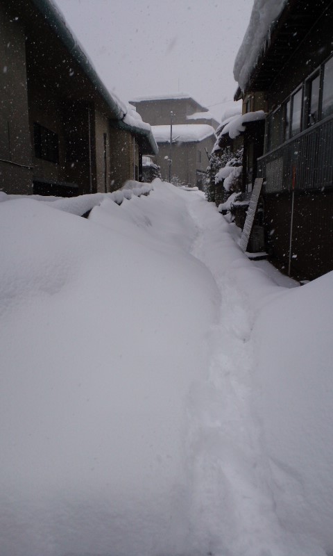 d0093903_2329915.jpg