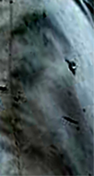 e0103408_15494950.jpg