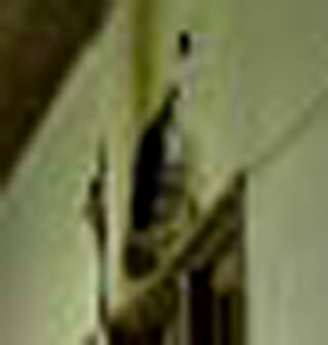 e0103408_1624359.jpg