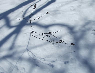 f0161708_2238399.jpg