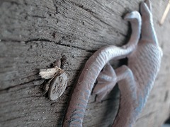 c0190010_20271280.jpg