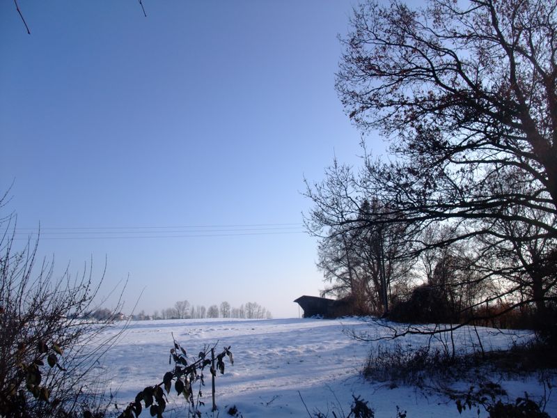 c0167813_1850379.jpg