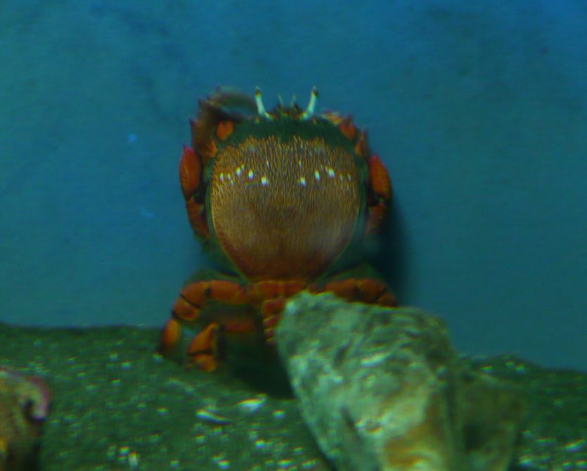 c0039114_20362940.jpg