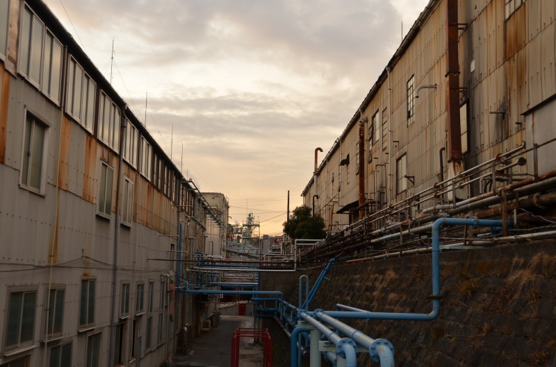 d0065116_23132454.jpg