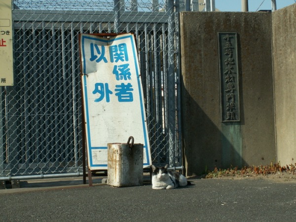 e0039316_1649110.jpg