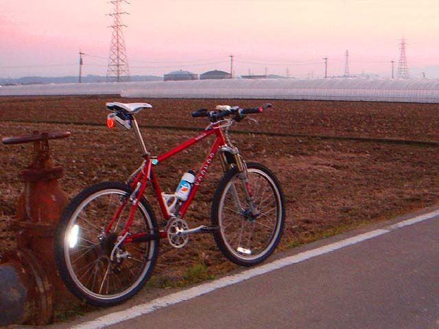 b0146418_18432047.jpg