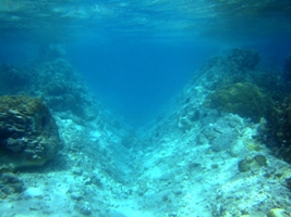 a0043520_6442389.jpg