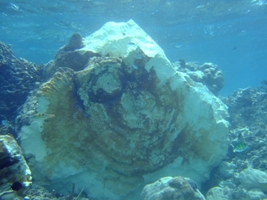 a0043520_6452490.jpg