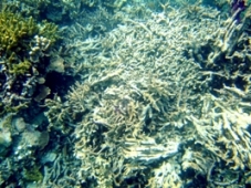 a0043520_6491989.jpg