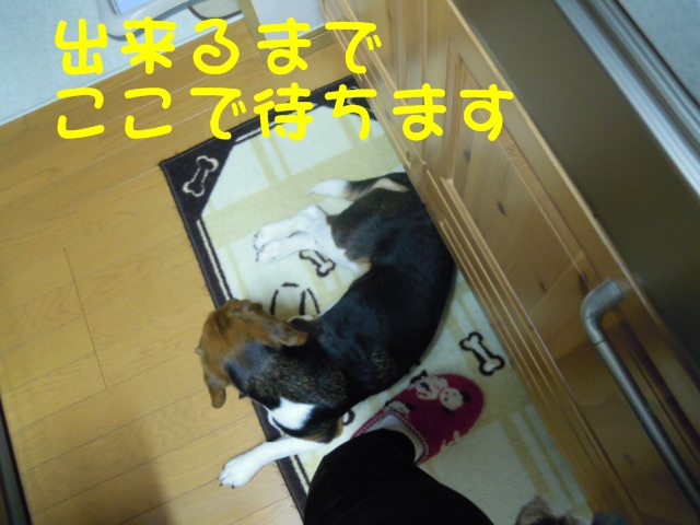 c0166622_1952155.jpg