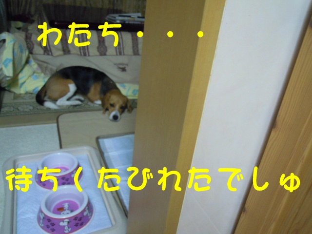 c0166622_1954440.jpg