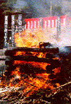f0213825_1555566.gif